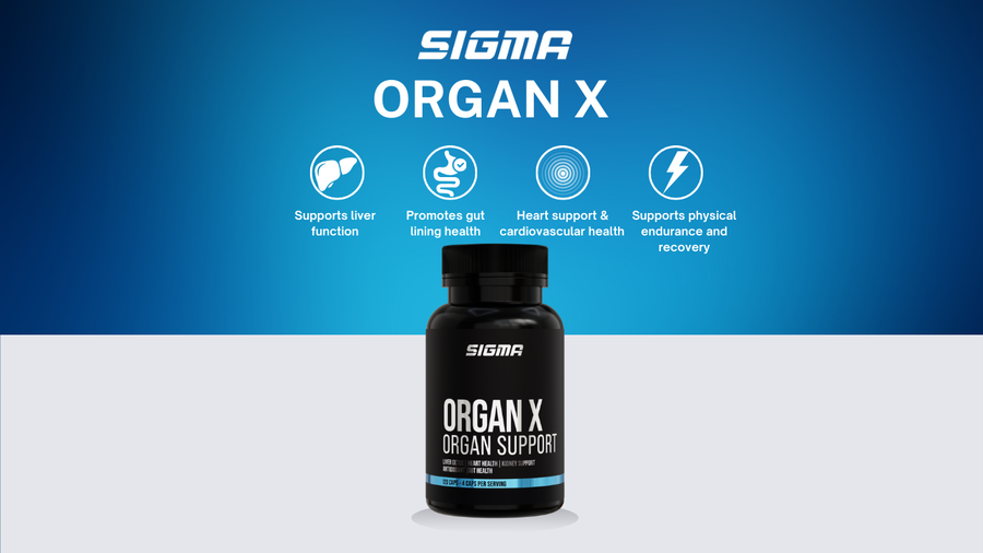 Who Benefits From Organ Support?