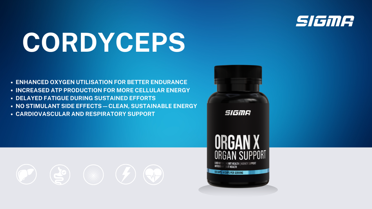 What Makes Cordyceps Special